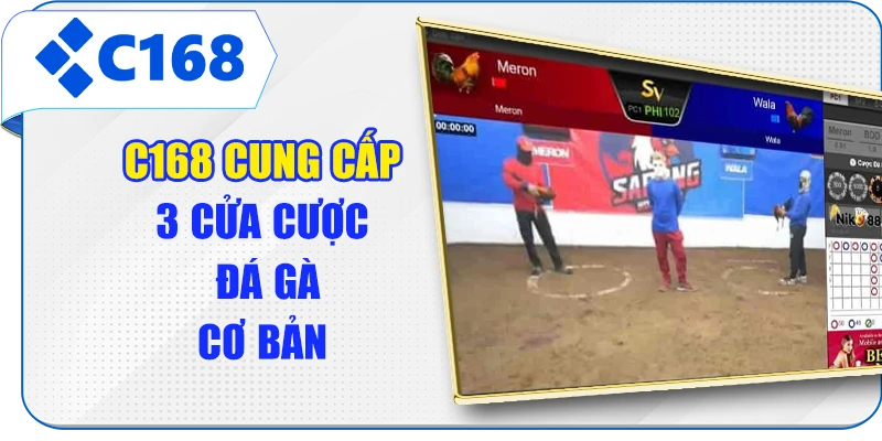 C168 cung cấp 3 cửa cược đá gà cơ bản