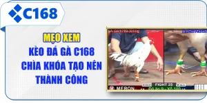 Mẹo Xem Kèo Đá Gà C168 - Chìa Khóa Tạo Nên Thành Công
