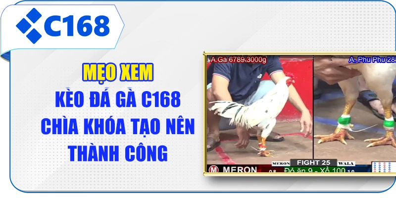 Mẹo Xem Kèo Đá Gà C168 - Chìa Khóa Tạo Nên Thành Công