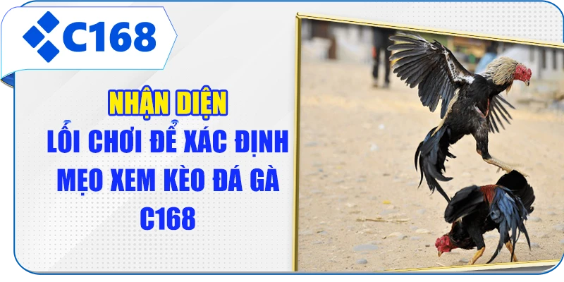 Nhận diện lối chơi để xác định mẹo xem kèo đá gà C168