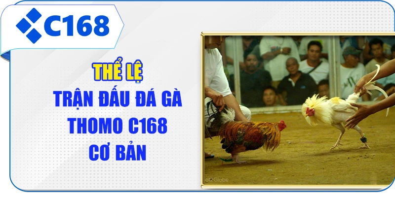 Thể lệ trận đấu đá gà Thomo C168 cơ bản