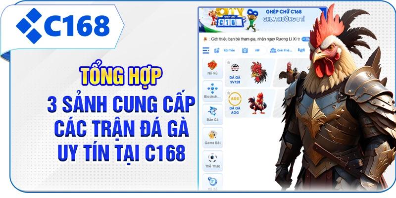 Tổng hợp 3 sảnh cung cấp các trận đá gà uy tín tại C168