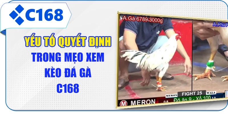 Yếu tố quyết định trong mẹo xem kèo đá gà C168